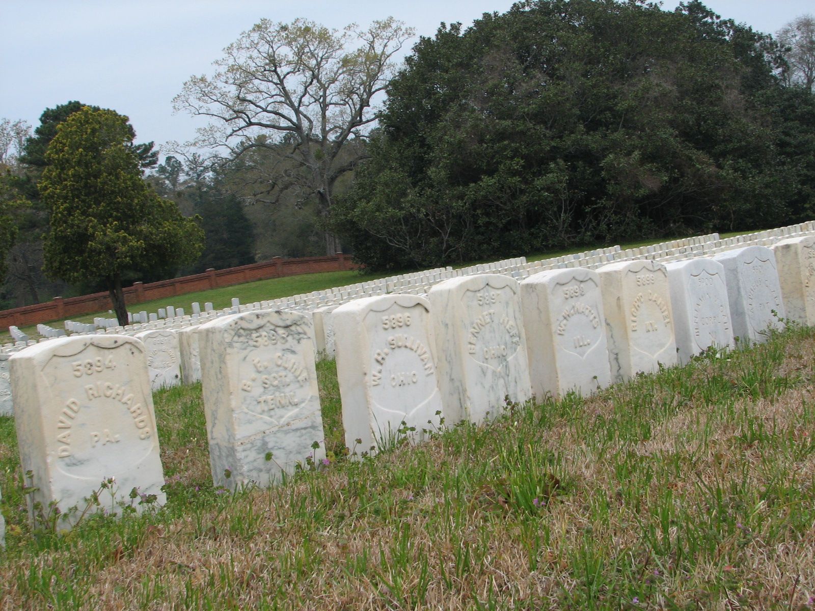 Rebellion, Union Army, Civil War, 78th Ohio